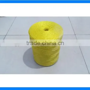 Colored PP Packing String thumbnail-2