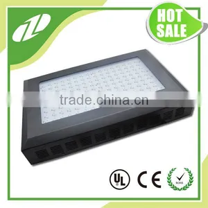 Best Led Grow Lights For Indoor Plants 300w Grow Light Led Cob For Orchid thumbnail-1
