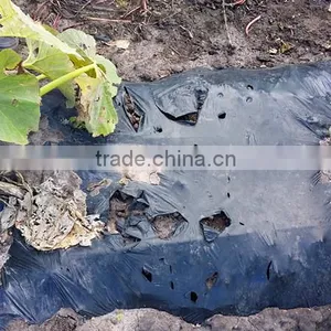 Biodegradable Agricultural Plastic Mulch Film, Ground Black Cover, Biodegradable Plastic Film thumbnail-1