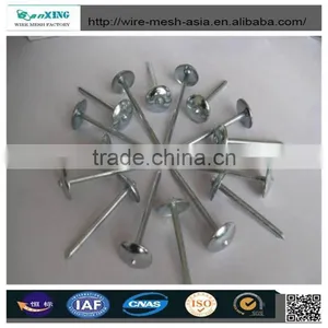 2017 Zinc Galvanized Nail thumbnail-2