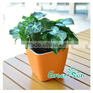 Flower Pots for Garden,pots Garden Planter,planter for Garden thumbnail-5
