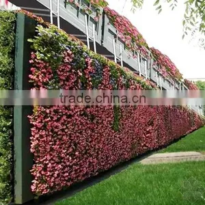 New Designed High Quality Artificial Grass Garden/fake Plant Wall for Decoration thumbnail-1
