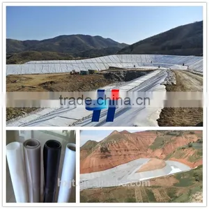 HDPE Geomembrane for the Tailing Seepage Control thumbnail-2