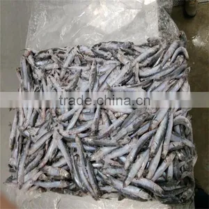 New Season Fresh Frozen Whole Round Anchovy thumbnail-6