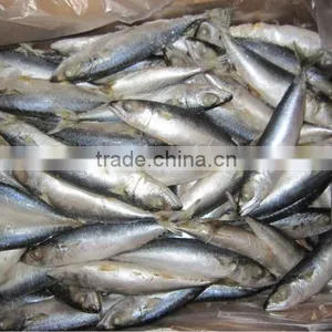 New Whole Round Frozen Mackerel Fish thumbnail-1