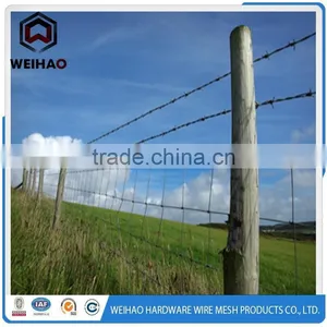 Professional Maker Best Competitive Price Galvanized Barbed Wire thumbnail-2