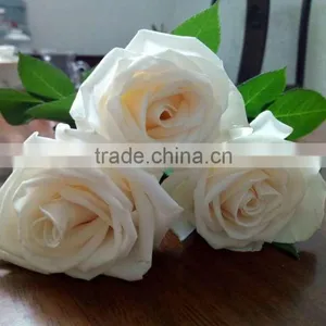 Supply Fresh Cut Flower Hot Sale 20 Stems/Bundle White Rose Wholesale From Yunnan,China thumbnail-2