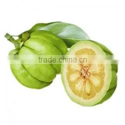GARCINIA CAMBOGIA EXTRACT thumbnail-3