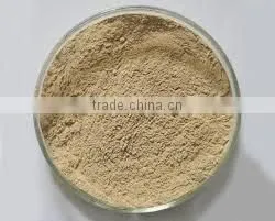 Green Coffee Bean Extract thumbnail-1