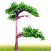 Sell Artificial Pine Trees thumbnail-1
