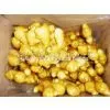 Ginger,ginger Supplier,fresh Ginger,Chinese Ginger thumbnail-2