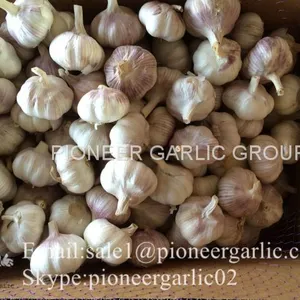 4.5cm 5cm 5.5cm Normal White Garlic Small Packing 1n 10kg Carton Box thumbnail-4