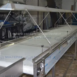 Dates Processing Line Dates Washing Drying Heating Vacuum Packaging Machine Multepak thumbnail-3
