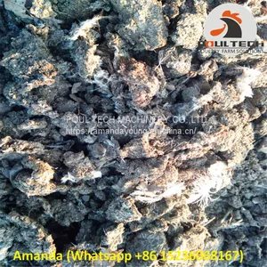 Poultry Farming Automatic Chicken Manure Drying Machine & Automatic Chicken Fowl Dung Drying Machine thumbnail-4
