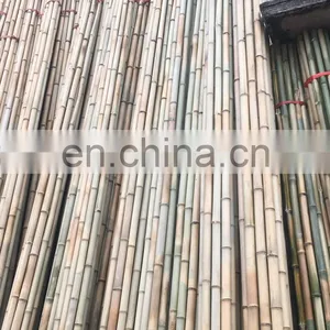 Premium Quality Best Price Real Bamboo Various Size Using for Decoring Furniture From Viet Nam Manufacturer thumbnail-2