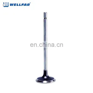 Factory Price 7700107489 / 7701471378 / 7701472124 Engine Valve for RENAULT thumbnail-4