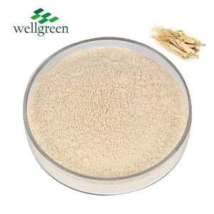 Root Ginsenosides 80% Korean Red Panax Siberian Ginseng Extract Ginseng Powder thumbnail-1