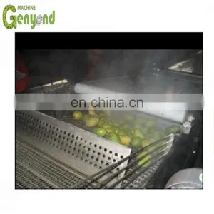 Dry Mango Powder Making Machine thumbnail-1