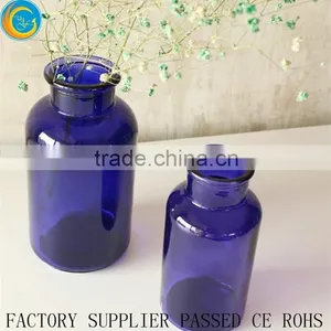 Stylish Colorful Glass Bottle Plant Vase or Moss Terrarium Clear Flower Vases Quality Choice thumbnail-4