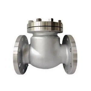 High-Quality Stainless Steel Swing Check Valve thumbnail-4