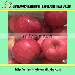 Buy Paper Bagged/fresh Yiyuan Fuji Apple/chinese Apple Price thumbnail-2