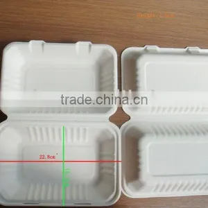 Sugarcane Hinged-lid Container thumbnail-1