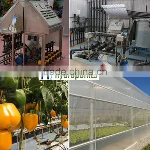 Agricultural Machinery, Temperature Sensor and Drip Irrigation for Greenhouse thumbnail-1