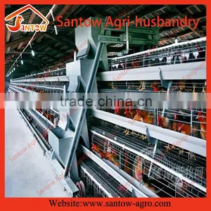 Chicken Use Welded Wire Chicken Layer Cages Poultry Farm Egg Layer Cage House Coop thumbnail-4