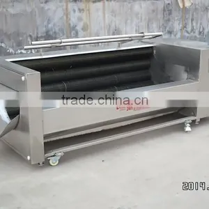 Automatic Brush Roller Vegetable and Fruit Washing Machine thumbnail-1