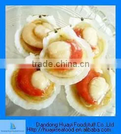 Frozen Scallop thumbnail-1