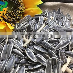 Raw Sunflower Seeds 0409 Stye thumbnail-2