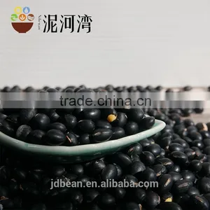 NEW CROP BLACK KIDNEY BEAN thumbnail-2