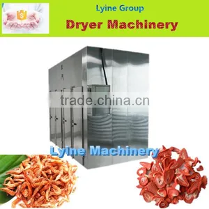 Lyine Machinery for Sale Professional Fruit Drying Equipment thumbnail-1