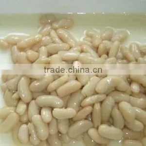 Good Quality Canned White Kidney Beans thumbnail-3