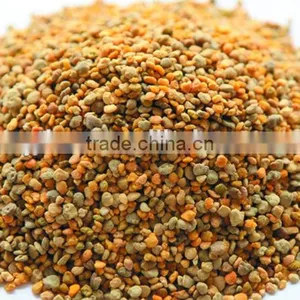 China Low Price Sweet Camellia Bee Pollen Grain thumbnail-1