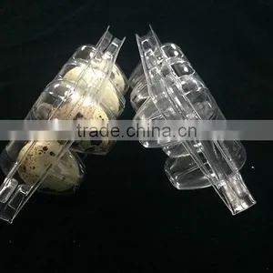 6/12 /18/20 /24 and 30 Cells Quail Egg Cartons thumbnail-2