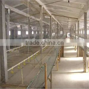 Broiler Shed thumbnail-1