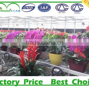 2016 New Type Agriculture Greenhouse thumbnail-1