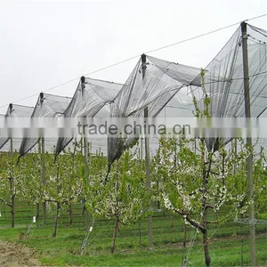 Quolity Cheapest HDPE Knitted White Apple Tree Anti Hail Net thumbnail-2