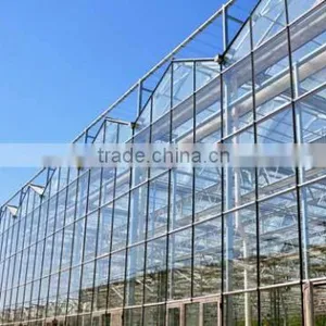 Glass Greenhouse-1 thumbnail-1