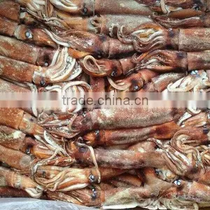 Top Quality Frozen Squid Todarodes Pacificus Frozen on Vessel With Best Freshness thumbnail-3