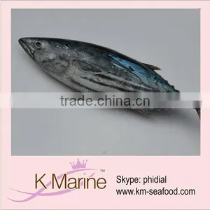 Live Seafood Trading Company Fresh Tuna thumbnail-1