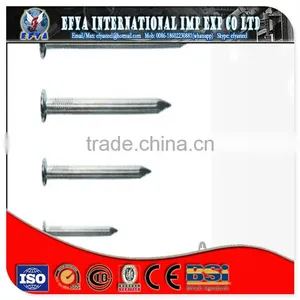 Round Head Stainless Steel Nail thumbnail-1