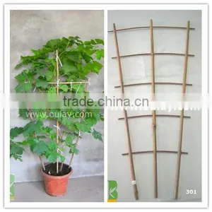 Bamboo Pot Grape Trellis for Supporting Plant thumbnail-1