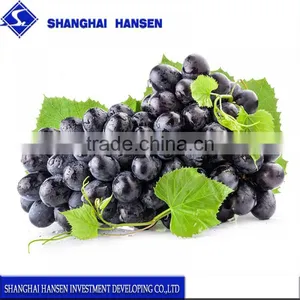 Black Grapes Import Agent and Customs Clearance in Shanghai thumbnail-1