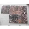 Azalea Red Marble thumbnail-1