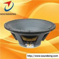 21-inch Professional PA Speaker thumbnail-1
