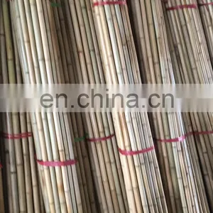 Sell off Competitive Price Premium Quality New Bamboo Various Size for Making Furniture From Distributor in Viet Nam thumbnail-4