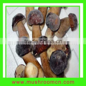 IQF Boletus Edulis thumbnail-1