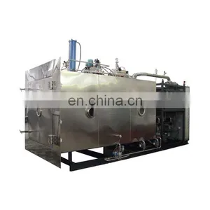 50kg Freeze Dryer for Industrial Vacuum Freeze Dryer Fruit Food thumbnail-4